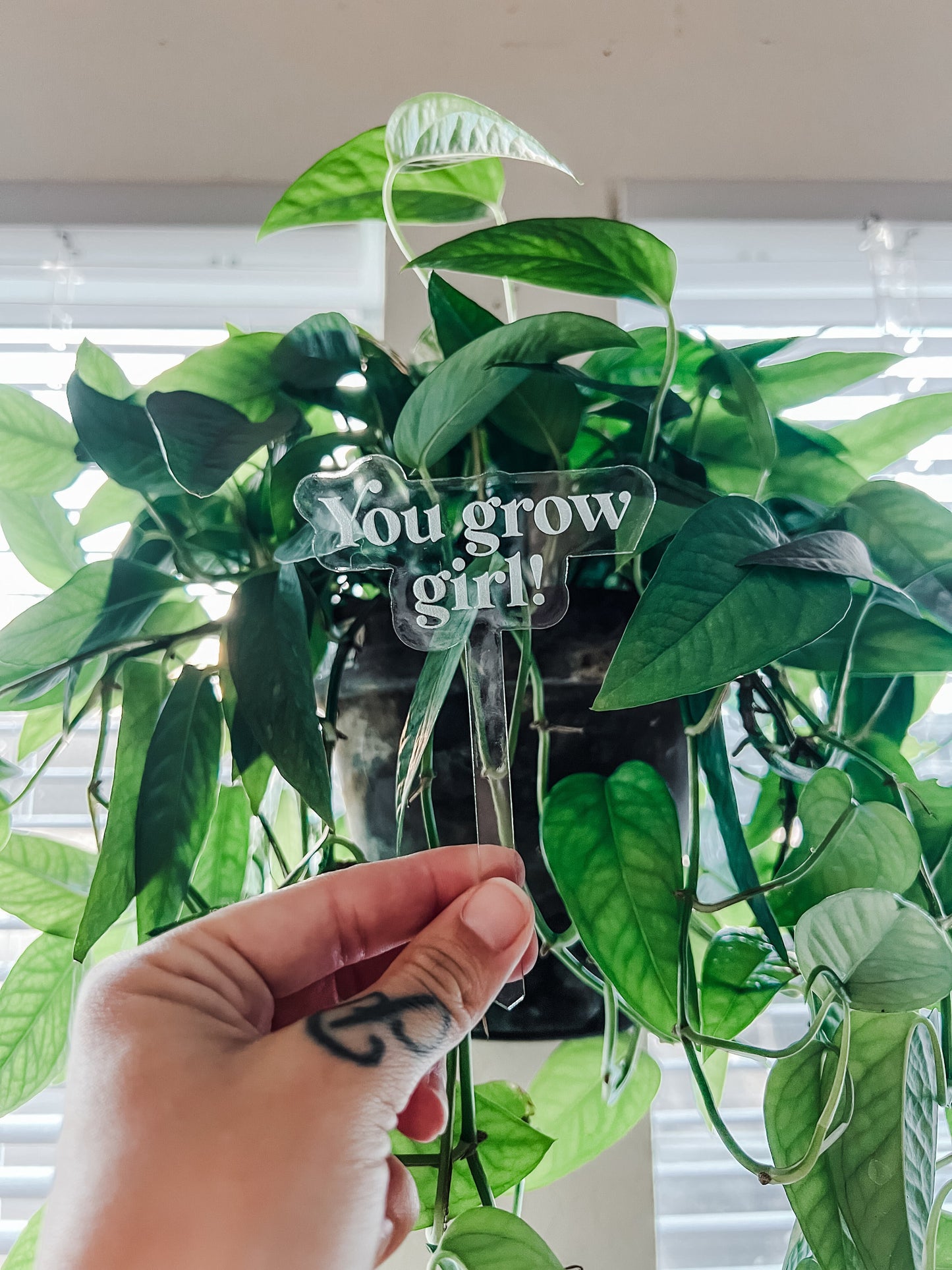 Funny Personalized Clear Acrylic Plant Stakes, Plant Markers, Garden Stake, Garden Decor, Plant Accessories, Funny Plant Markers, Plant Sign