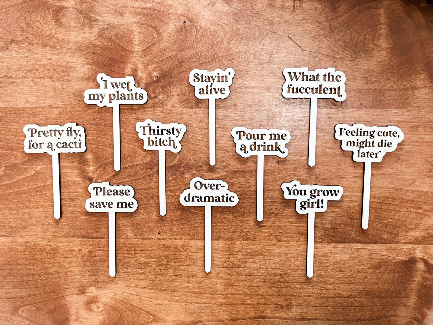 Funny Personalized Wooden Plant Stakes, Custom Plant Markers, Garden Stake, Garden Decor, Plant Accessories, Funny Plant Markers, Plant Sign