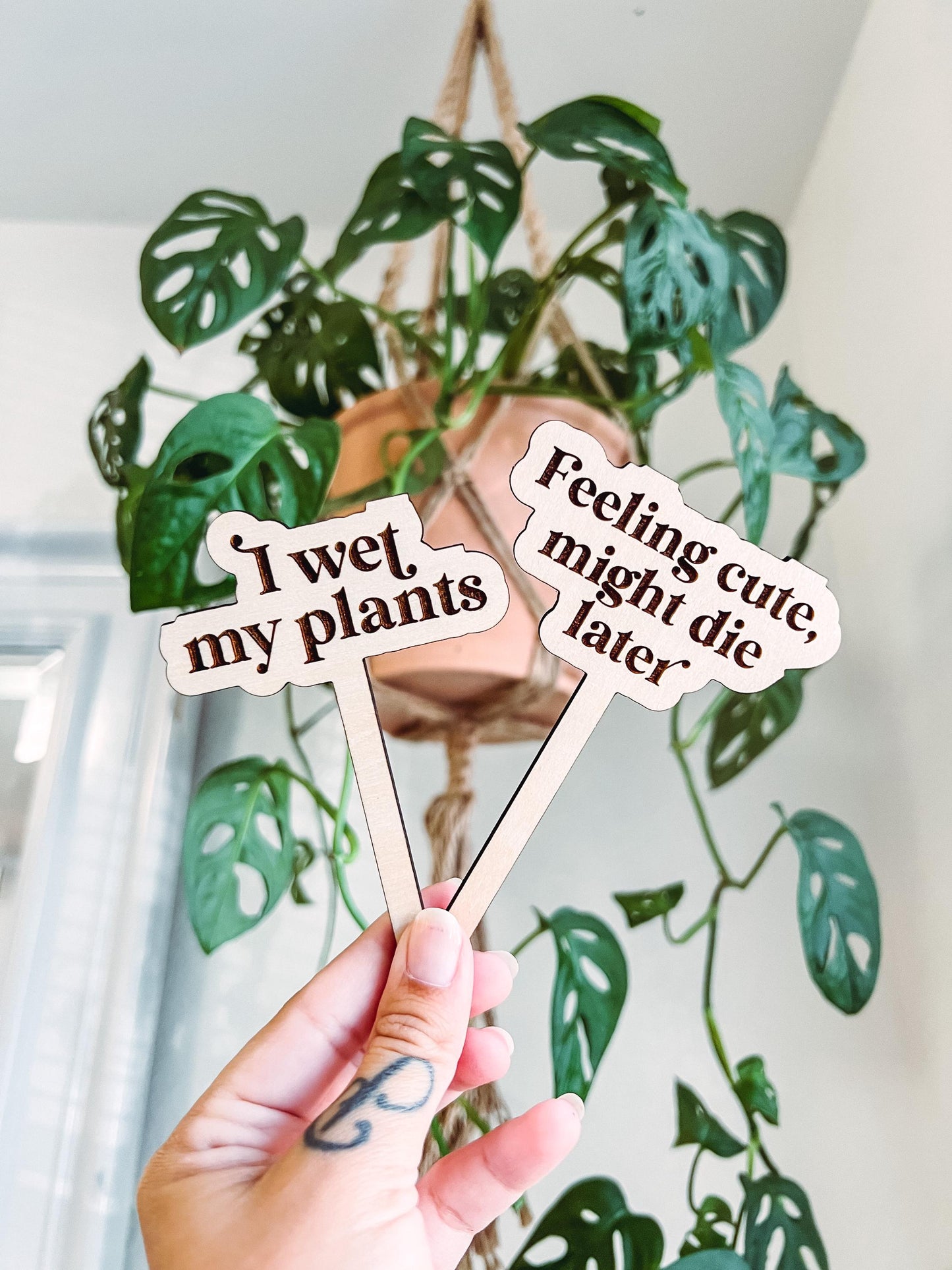 Funny Plant Stakes Set of 10, Plant Markers, Garden Signs | Engrave & Cut File | Adobe Illustrator, SVG, EPS, PDF | Glowforge, Cricut Ready