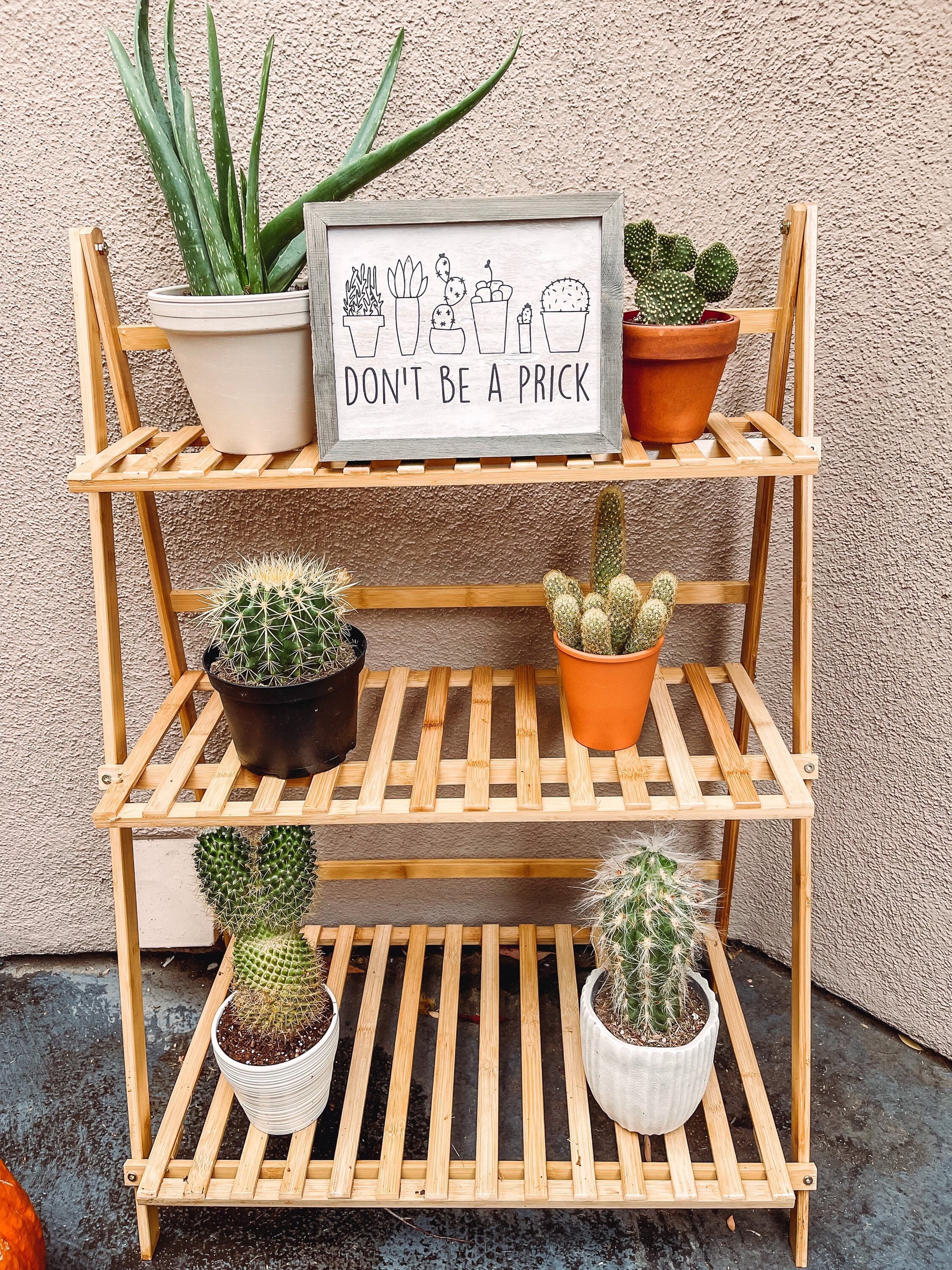 Don’t Be A Prick Funny Cactus Sign