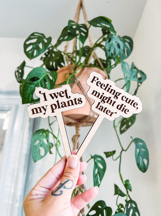 Funny Personalized Wooden Plant Stakes, Plant Markers, Garden Stakes, Garden Decor, Plant Accessories, Funny Plant Markers, Plant Signs