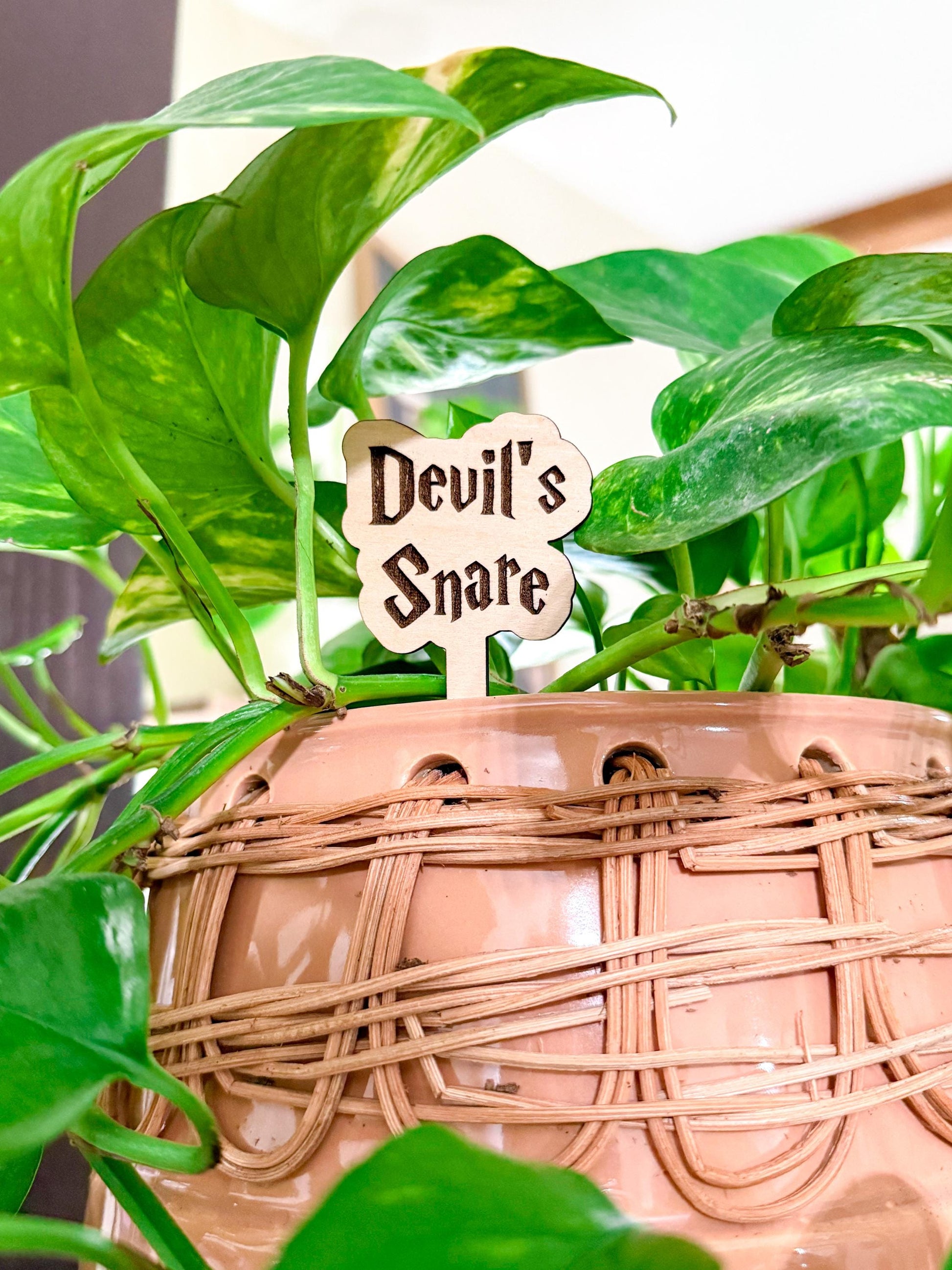 Magical Wizard Personalized Wooden Plant Stakes, Harry Plant Markers, Custom Stake, Garden Decor, Plant Accessories, Herbology Plant Signs