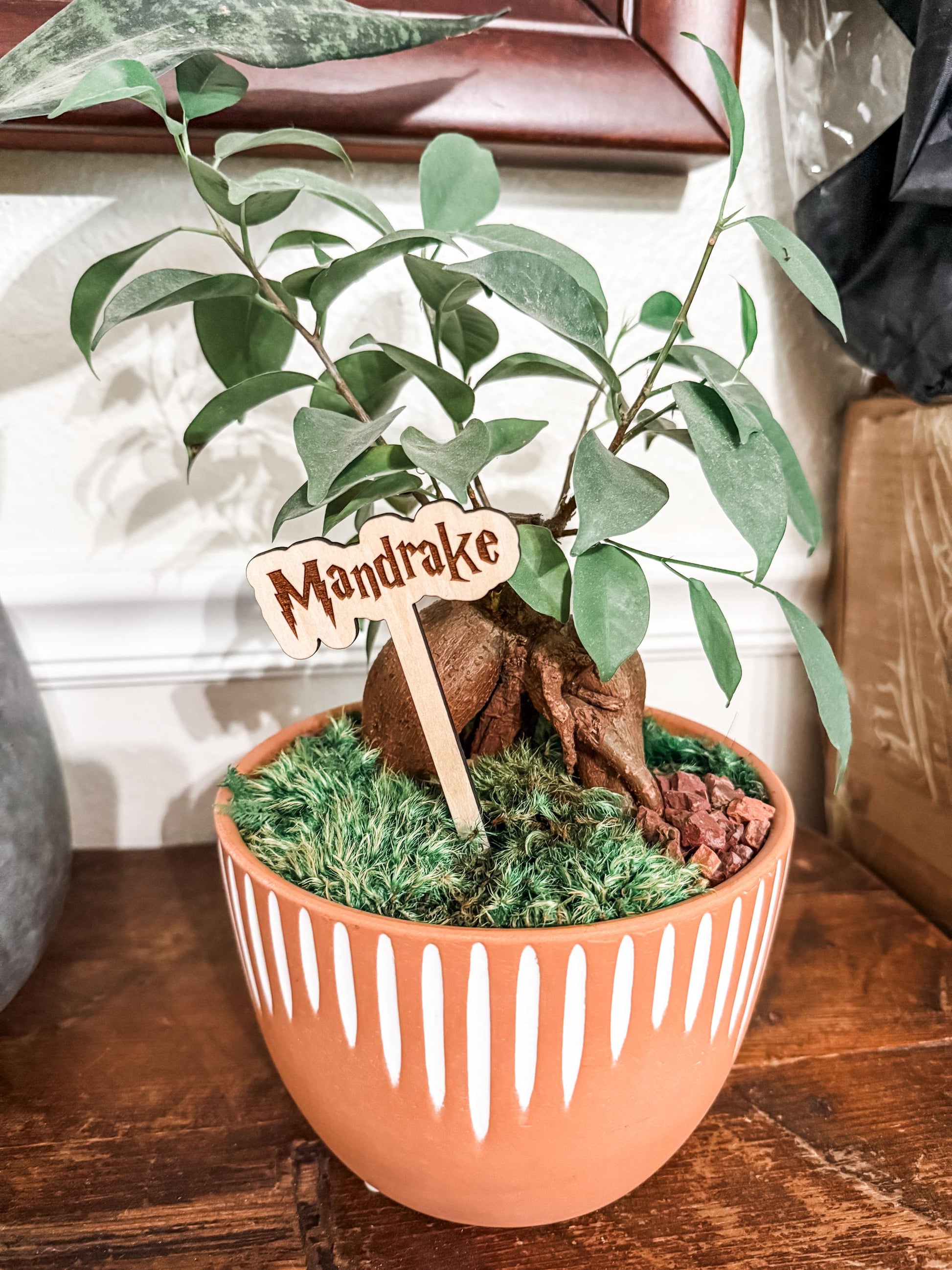 Magical Wizard Personalized Wooden Plant Stakes, Harry Plant Markers, Custom Stake, Garden Decor, Plant Accessories, Herbology Plant Signs