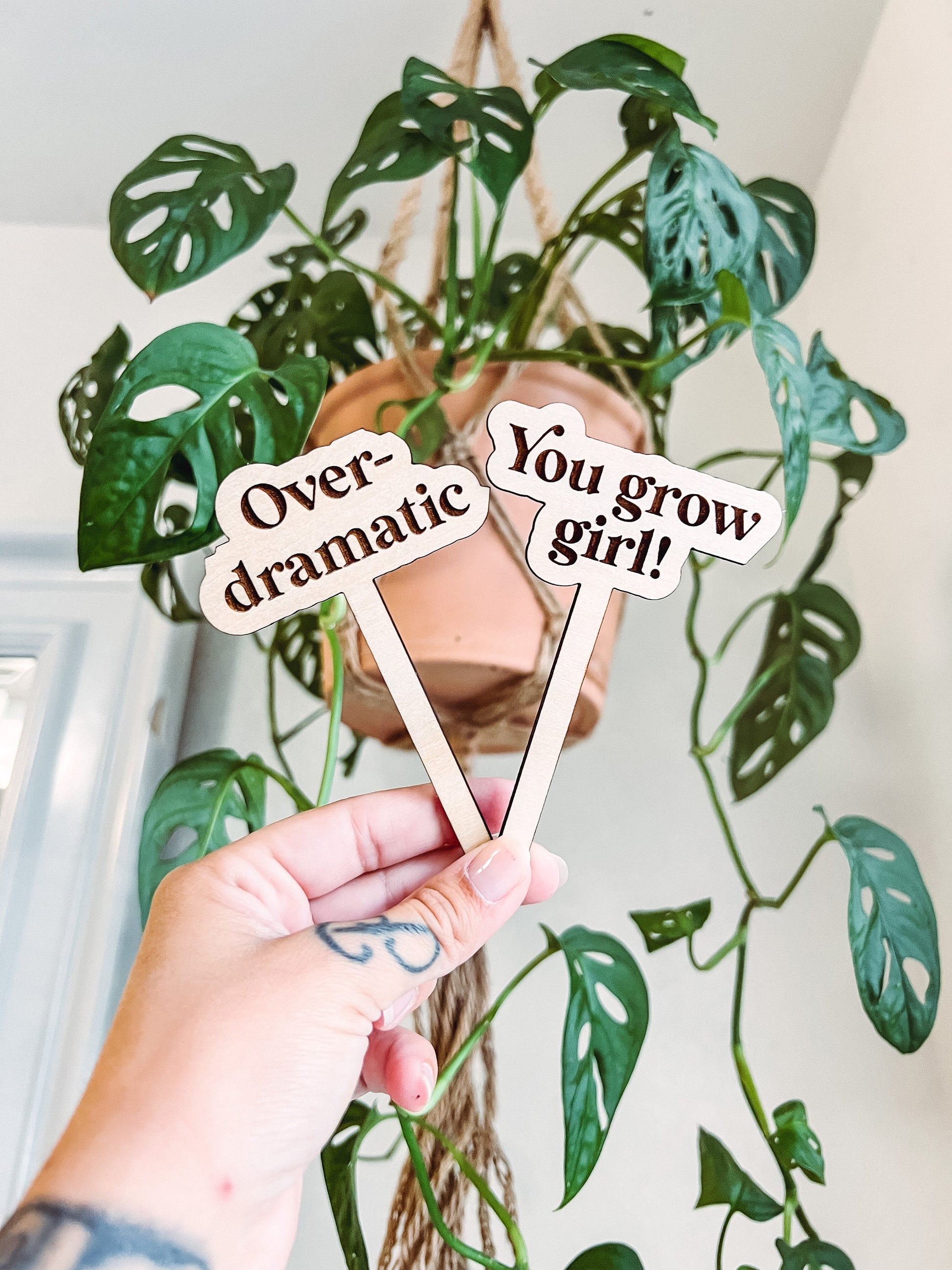 Funny Plant Stakes Set of 10, Plant Markers, Plant Signs | Engrave & Cut File | Adobe Illustrator, SVG, EPS, PDF | Glowforge, Cricut Ready