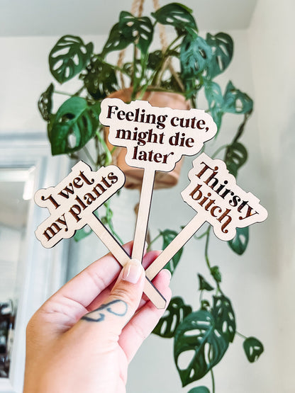 Funny Personalized Wooden Plant Stakes, Plant Markers, Garden Stakes, Garden Decor, Plant Accessories, Funny Plant Markers, Plant Signs