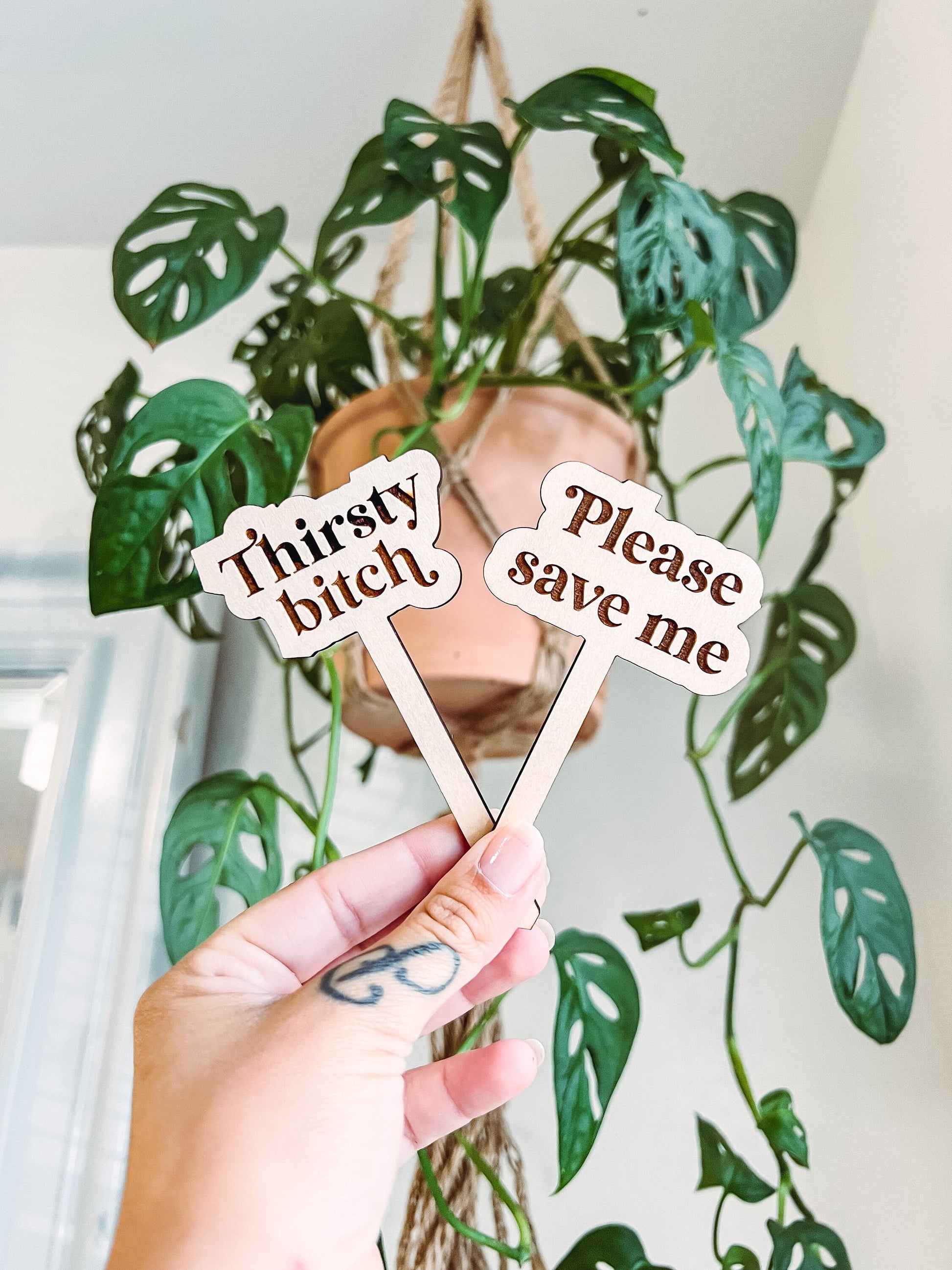 Funny Personalized Wooden Plant Stakes, Plant Markers, Garden Stakes, Garden Decor, Plant Accessories, Funny Plant Markers, Plant Signs