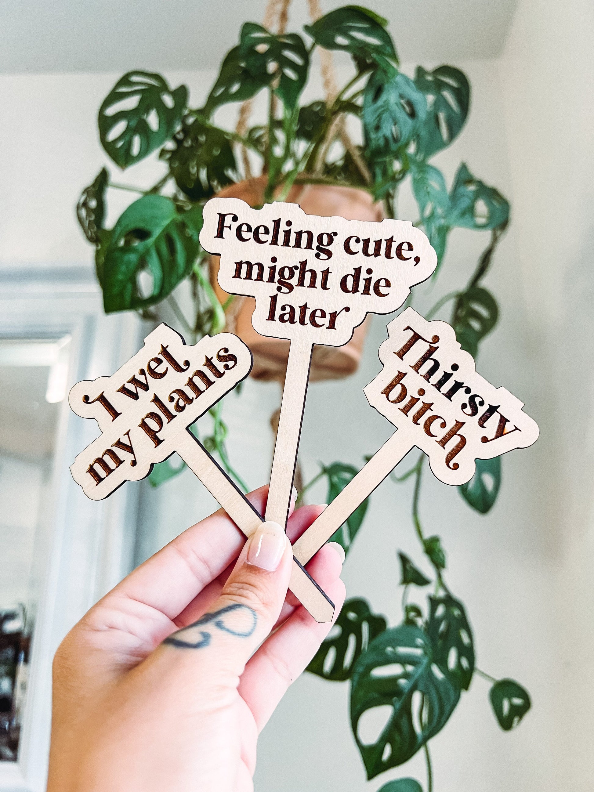 Funny Plant Stakes Set of 10, Plant Markers, Plant Signs | Engrave & Cut File | Adobe Illustrator, SVG, EPS, PDF | Glowforge, Cricut Ready